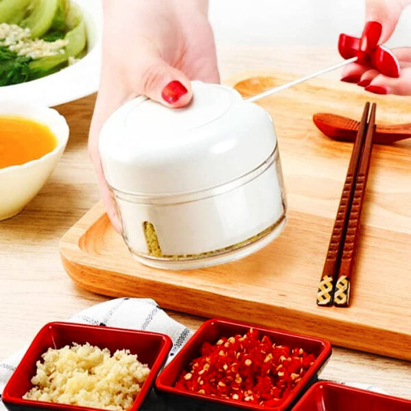 (pack of 2 ) Combo deal Garlic Tool + Mini Chopper Grinding