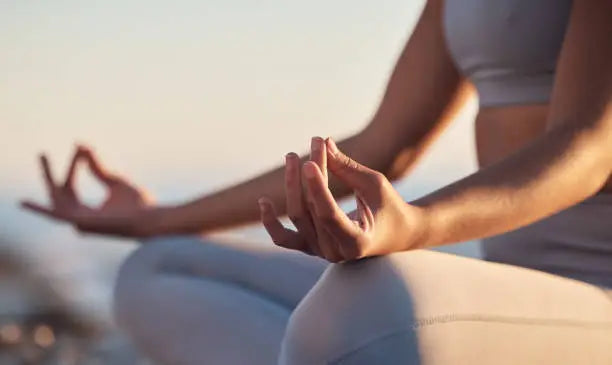 Lifestyle & Wellness